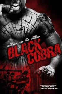  Black Cobra (2012) Dual Audio {Hindi-English} 480p [300MB] | 720p [800MB] BluRay