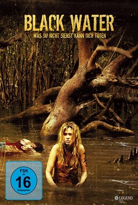  Black Water (2007) Dual Audio {Hindi-English} 480p [300MB] | 720p [1GB]