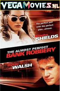  The Almost Perfect Bank Robbery (1997) Dual Audio [Hindi-English] WeB-DL 480p [350MB] | 720p [950MB]