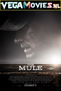  The Mule (2018) English With Subtitles 480p [500MB] | 720p [900MB]