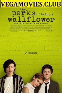  The Perks of Being a Wallflower (2012) BluRay English Full Movie 480p [400MB] | 720p [800MB]